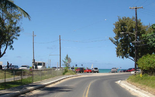 beech mae.jpg