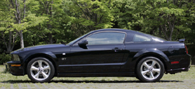 mustang.jpg